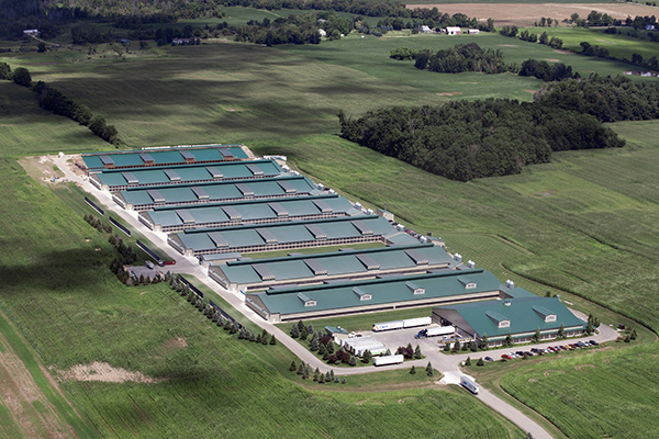 Nanjing Baby Walker Group Co.,Ltd