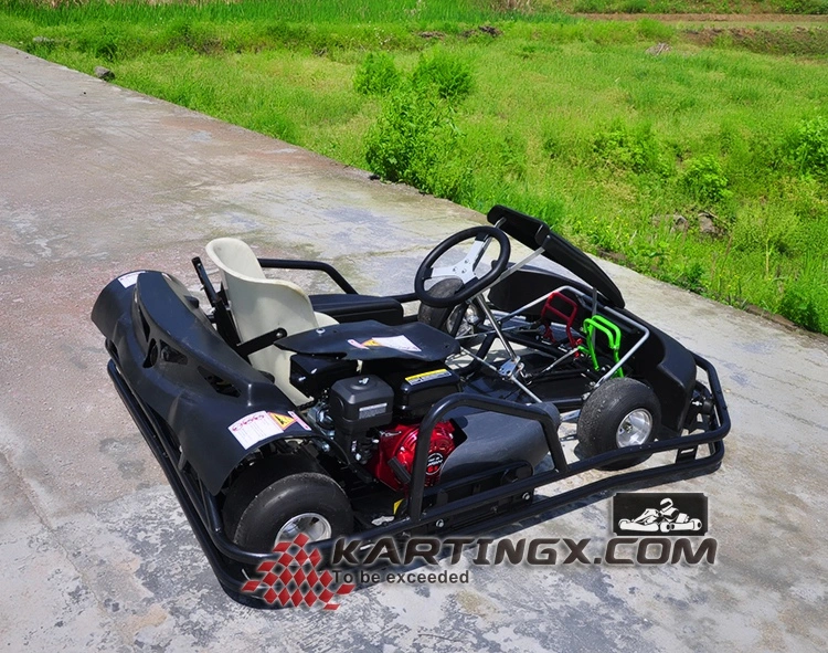 Cheap Hot Sale Adults Adult 1 Seat Pedal Go Kart Karting Zhejiang Passion Import Racing Go Ka