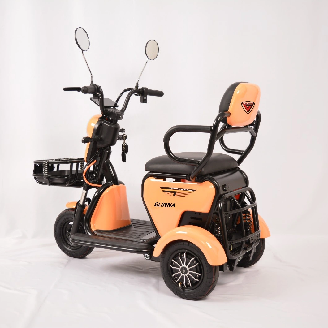 Latest Electric Tricycle 48V 350W Wholesale Factory Price