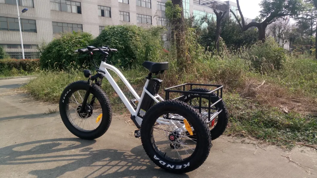 Three Wheel Fat Tire Electric Tricycle Cargo for Beach Cruiser