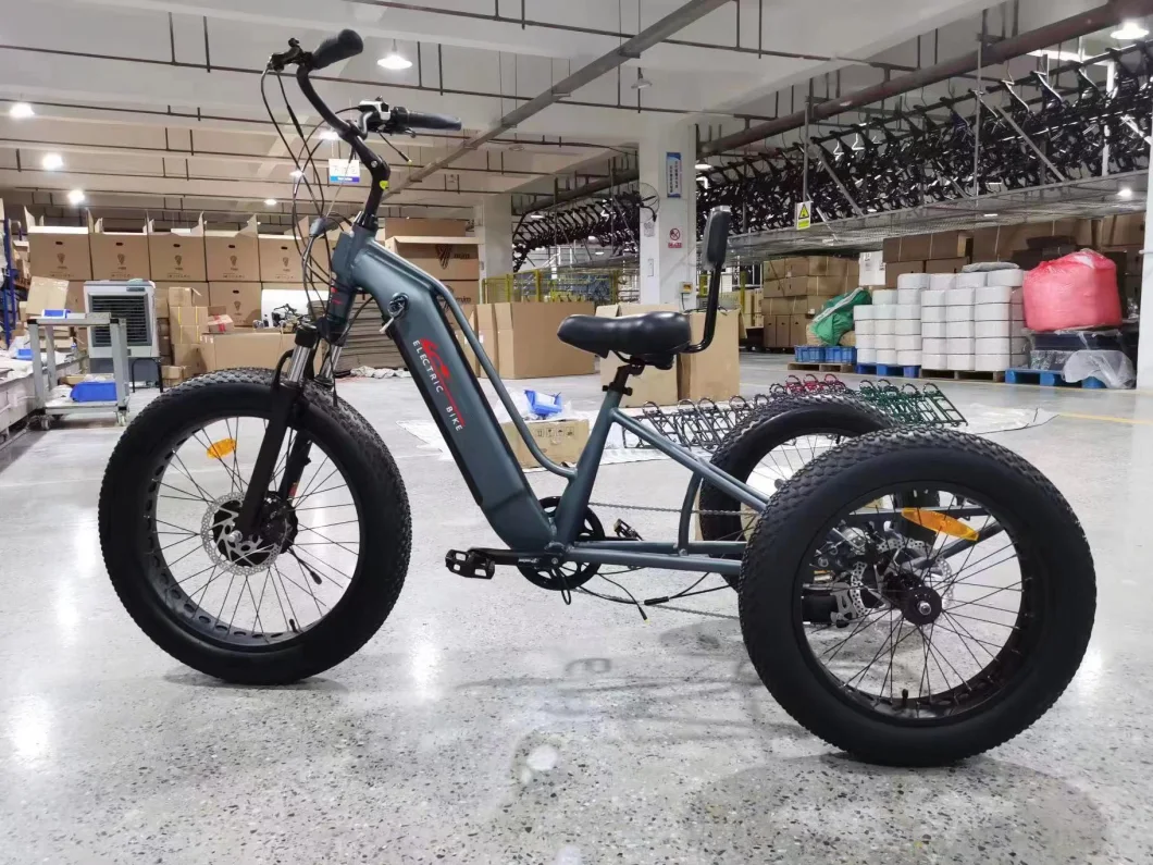Factory Supplies Three Wheel 500W Electric Bicycle, Adult Shimano 7-Speed, Fat Tire Electric Tricycle