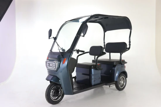 Tricycle Motorized Cargo Electric Bicycle Three Wheel Electric for Adults