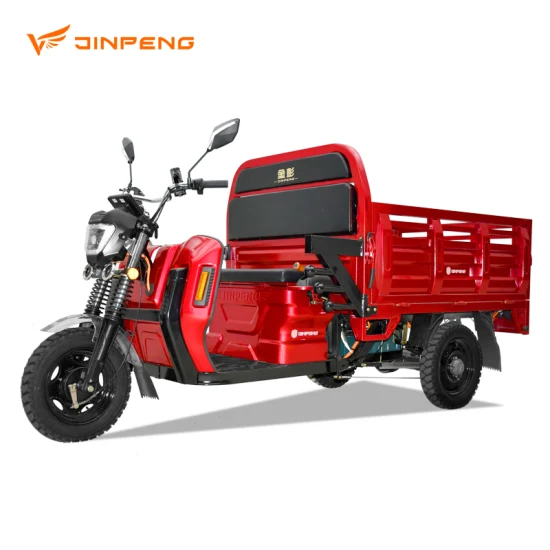 Dls150 PRO China Supplying Electric Tricycle 2023 Approval New Energy Resources Electric Loader High Quality for Cargo Basic Customization