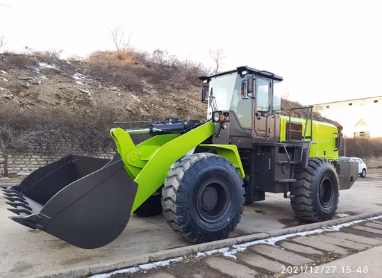 Dls150 PRO China Supplying Electric Tricycle 2023 Approval New Energy Resources Electric Loader High Quality for Cargo Basic Customization