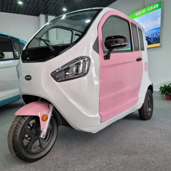 Fully Enclosed 3 Passengers Electric 2000W 4000W 3 Wheels Customizable Tricycle with EEC