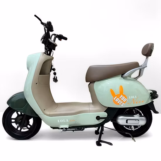 Popular New High-Quality Electric Tricycle 48V 350W