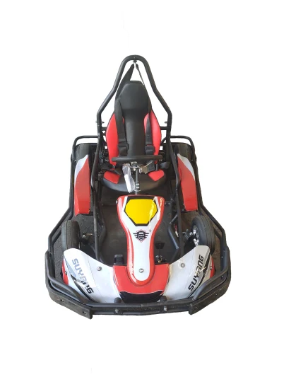 China High Quality Amusement Park Leisure Go Karts Electric Adult Pedal Mini RC Go Karting for Commercial