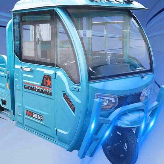 1000W Heavy Loading Electric Tricycle